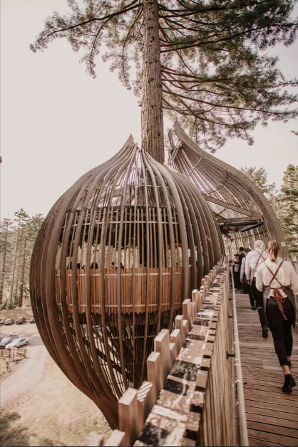 Redwoods Treehouse, New Zealand Cabin